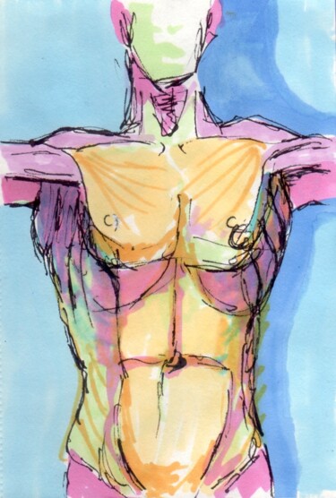 Drawing titled "Torse coloré" by Edith Bos Boyer (EDITH DONC), Original Artwork, Marker