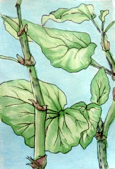 Tekening getiteld "Begonia" door Edith Bos Boyer (EDITH DONC), Origineel Kunstwerk, Marker