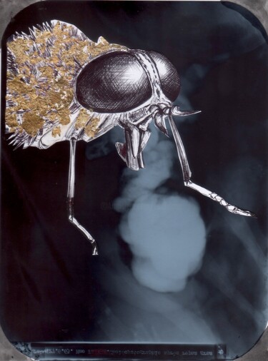 Dessin intitulée "Zobi la mouche" par Edith Bos Boyer (EDITH DONC), Œuvre d'art originale, Stylo à bille