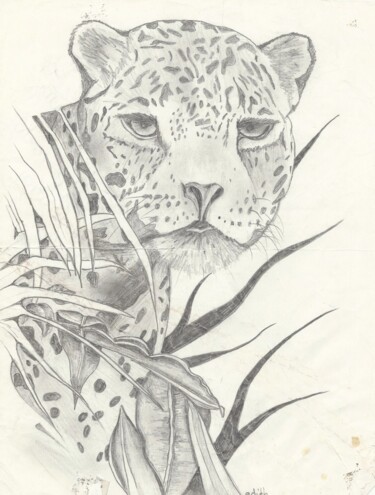 Drawing titled "Gros chaton mignon" by Edith Bos Boyer (EDITH DONC), Original Artwork, Pencil