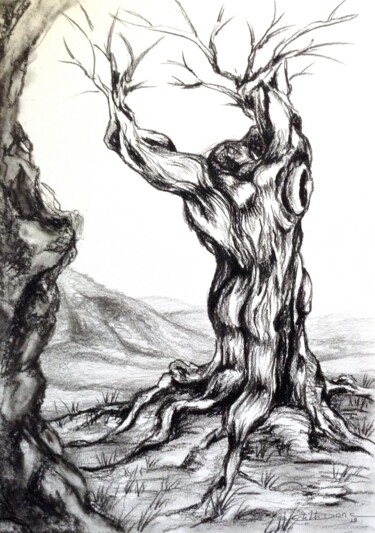 Drawing titled "Trognus Eroticus 4" by Edith Donc, Original Artwork, Charcoal