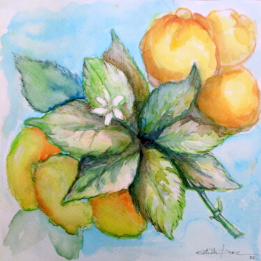 Painting titled "Agrumes" by Edith Donc, Original Artwork, Watercolor