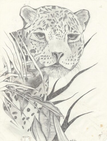 Drawing titled "Gros chaton mignon" by Edith Donc, Original Artwork, Pencil