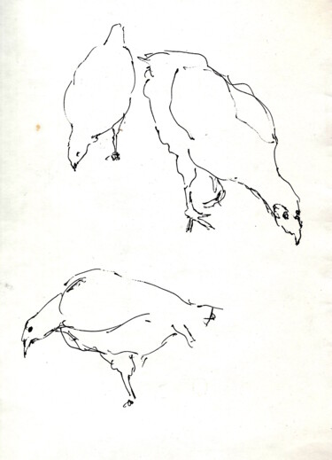 Drawing titled "Poules I" by Edith Donc, Original Artwork, Ballpoint pen