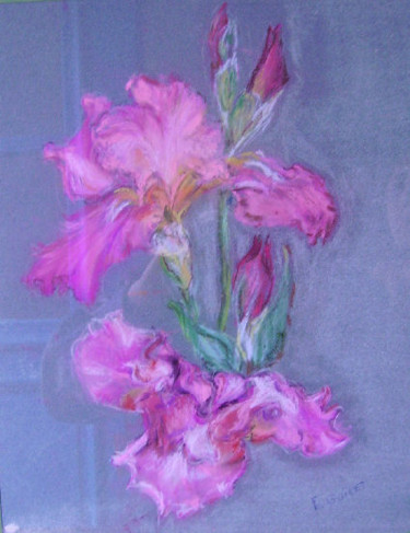 Painting titled "Iris rose" by Edith Guinet, Original Artwork