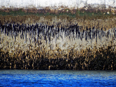 Photographie intitulée "TERRE D'ASILE I - 4…" par Edouard Mosseau, Œuvre d'art originale