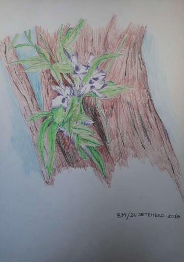 Dessin intitulée "Orquídea na árvore" par Eduardo Machado, Œuvre d'art originale, Crayon Monté sur Verre