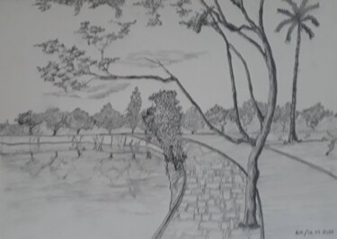 Drawing titled "Lagoa Boa Vista 2 -…" by Eduardo Machado, Original Artwork, Pencil Mounted on Glass