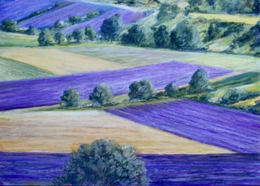 Malerei mit dem Titel "Farbige Felder" von Daniel Rohrbach, Original-Kunstwerk, Pastell