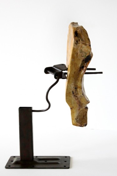 Sculptuur getiteld "Listening the world" door Edu Luna, Origineel Kunstwerk, Mixed Media