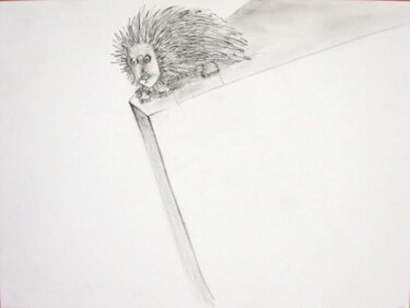 Drawing titled "Porcupine on the ed…" by Edward Chernesky, Original Artwork