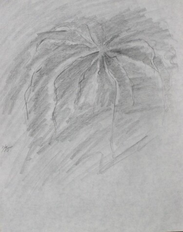 Drawing titled "fireworks" by Edward Chernesky, Original Artwork