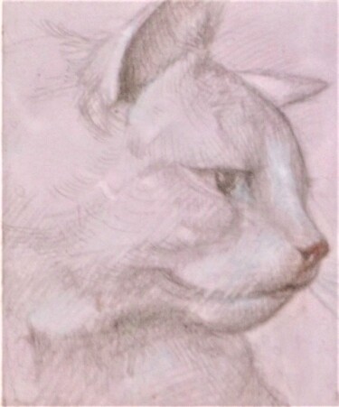 Zeichnungen mit dem Titel "Cat in Pink" von Edwin Loftus, Original-Kunstwerk, Silberstift Auf Andere starre Platte montiert
