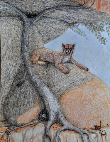 Desenho intitulada "The Mountain Lion" por Edwin Loftus, Obras de arte originais, Pastel