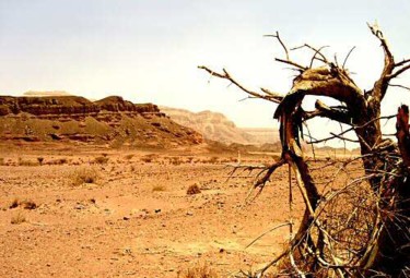 Photography titled "Power of the desert" by Efi Keren, Original Artwork