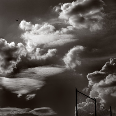 Photography titled "sky-cloud-bird-egil…" by Egils Spuris, Original Artwork