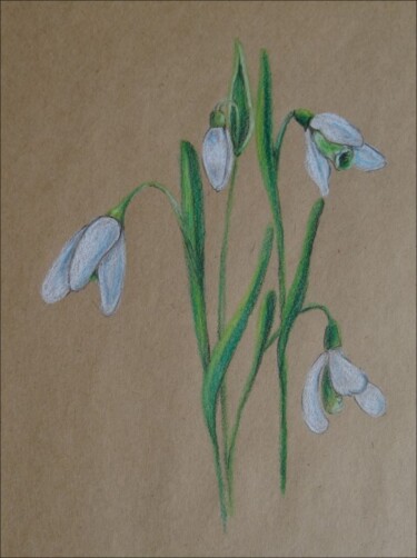 Tekening getiteld "perce-neige.jpg" door Eileenddesign, Origineel Kunstwerk