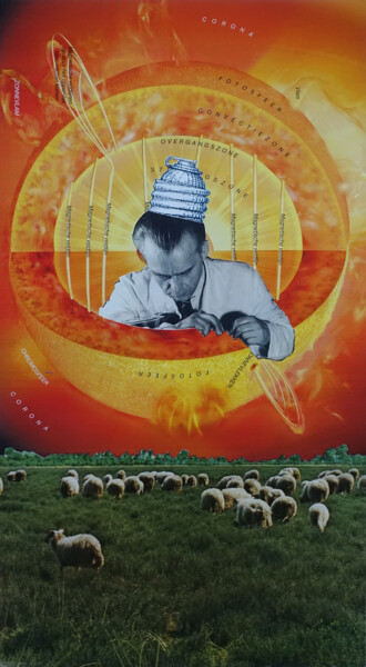 Collages intitulée "Flock" par Ekaterina Anikina, Œuvre d'art originale, Collages