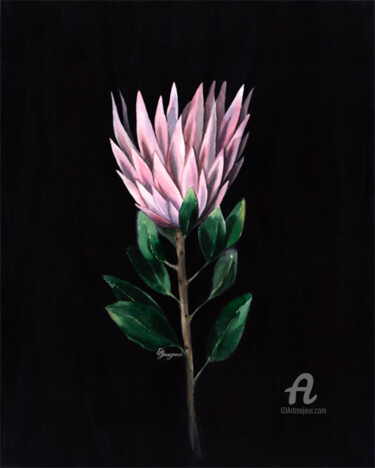 Картина под названием "Protea" - Екатерина Гамзаева, Подлинное произведение искусства, Акварель
