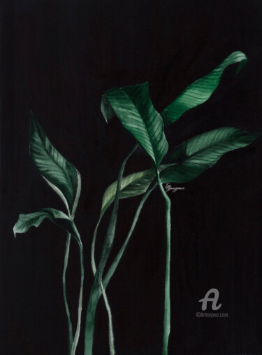 Painting titled "Spathiphyllum" by Ekaterina Gamzaeva, Original Artwork, Watercolor