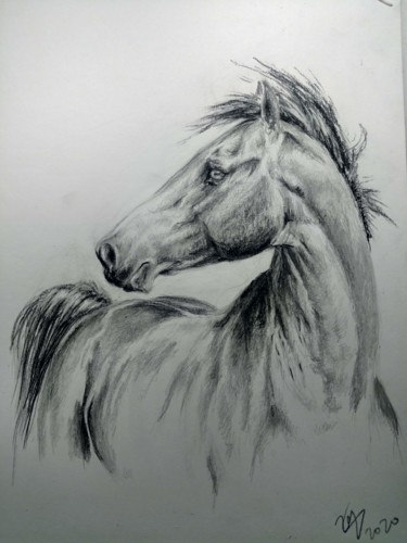 Disegno intitolato "Horse with blue eyes" da Ekaterina Gerasimova, Opera d'arte originale, Matita