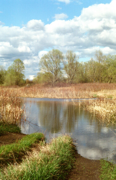 Photography titled "Waiting for May" by Ekaterina Kastalskaya, Original Artwork, Analog photography