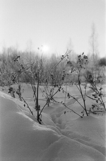 Fotografia zatytułowany „Winter sunrise” autorstwa Ekaterina Kastalskaya, Oryginalna praca, Fotografia filmowa