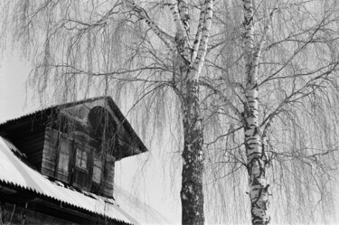 Photographie intitulée "Winter slumber" par Ekaterina Kastalskaya, Œuvre d'art originale, Photographie argentique
