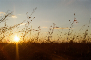 Photographie intitulée "Sunset blues" par Ekaterina Kastalskaya, Œuvre d'art originale, Photographie argentique