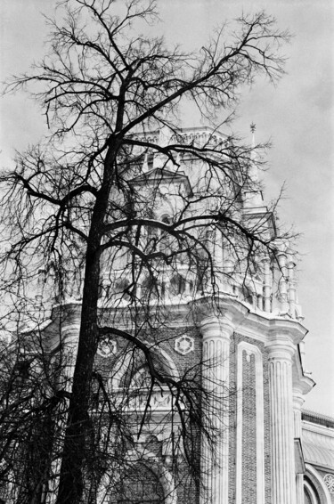 Fotografie getiteld "What the trees don'…" door Ekaterina Kastalskaya, Origineel Kunstwerk, Film fotografie
