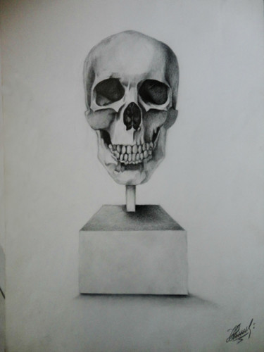Drawing titled "Skull" by Ekaterinakirova, Original Artwork, Pencil