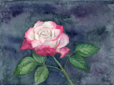 Картина под названием "The Midnight Rose" - Ekaterina Kosushkina, Подлинное произведение искусства, Акварель