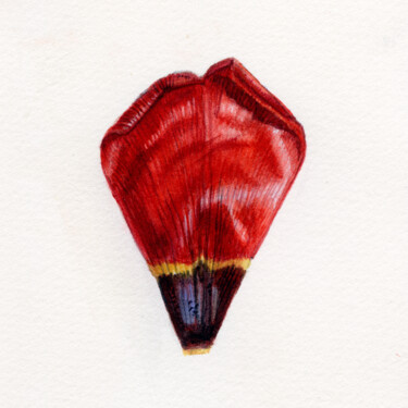 Картина под названием ""Red tulip petal"" - Ekaterina Kosushkina, Подлинное произведение искусства, Акварель