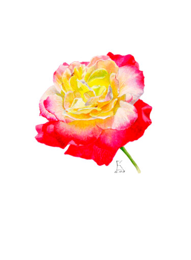 Painting titled "ROSE BUD - print" by Ekaterina Kosyak, Original Artwork, Watercolor