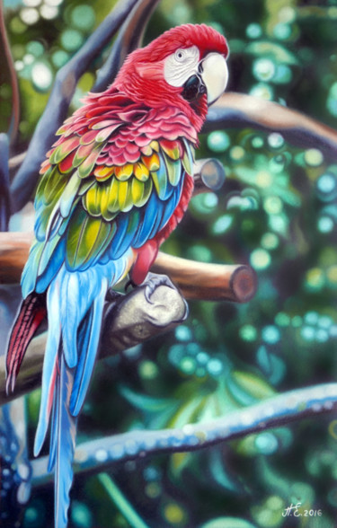 Malerei mit dem Titel "parrot" von Ekaterina Perepeliatnik, Original-Kunstwerk, Öl