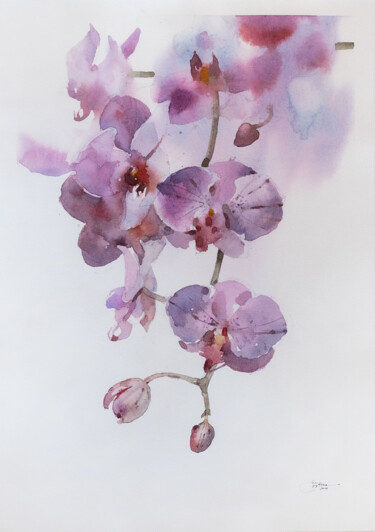 Painting titled "Orchids" by Ekaterina Pytina, Original Artwork, Watercolor