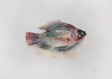 Painting titled "Tilapia fish" by Ekaterina Pytina, Original Artwork, Watercolor