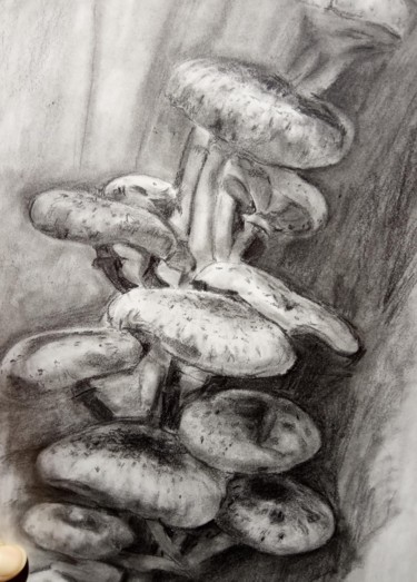 Painting titled "img-20190422-203121…" by Ekaterina Soloveva, Original Artwork, Pencil