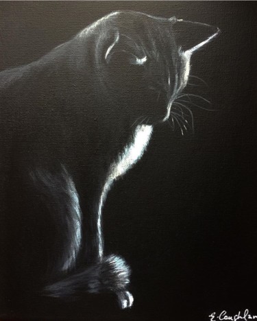 Painting titled "Cat shadow" by Elaine Coughlan, Original Artwork, Acrylic