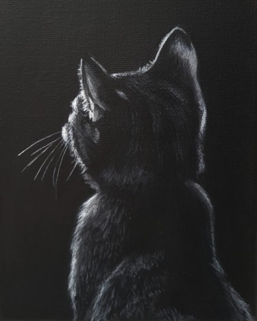 Painting titled "Cat shadow." by Elaine Coughlan, Original Artwork, Acrylic