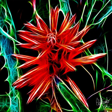 Digital Arts titled "Beautiful Aloe Vera" by Electrodoage, Original Artwork, 2D Digital Work