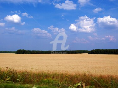 Фотография под названием "le champ de blé. Ру…" - Elen Ruzh, Подлинное произведение искусства