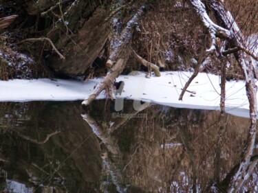 Фотография под названием "Зимняя река. Winter…" - Elen Ruzh, Подлинное произведение искусства