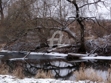 Фотография под названием "Зимнее отражение" - Elen Ruzh, Подлинное произведение искусства