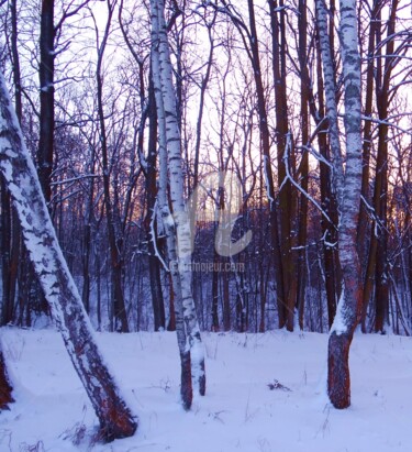 Фотография под названием "зима" - Elen Ruzh, Подлинное произведение искусства