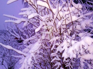 Фотография под названием "Schnee. Снег" - Elen Ruzh, Подлинное произведение искусства
