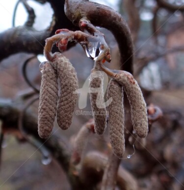 Фотография под названием "Spring jewelry" - Elen Ruzh, Подлинное произведение искусства