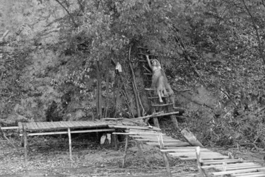 Fotografia zatytułowany „Swimmers” autorstwa Elena Bandurka, Oryginalna praca, Fotografia cyfrowa