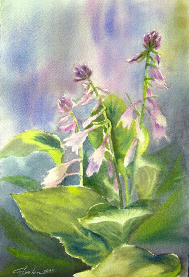 Картина под названием "Lilac hosta" - Elena Gaivoronskaia, Подлинное произведение искусства, Акварель