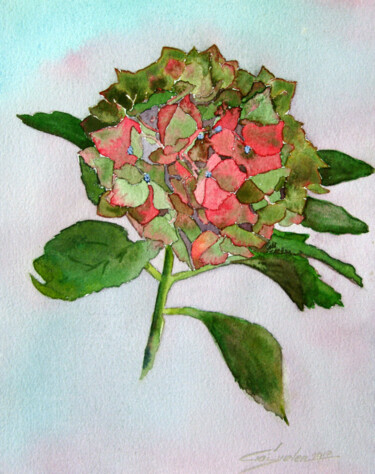 Ζωγραφική με τίτλο "Hydrangea" από Elena Gaivoronskaia, Αυθεντικά έργα τέχνης, Ακουαρέλα